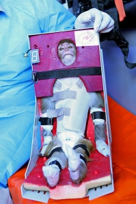 Iranian scientist holds monkey payload in January 2013 space rocket launch. (Photo credit -/AFP/Getty Images)