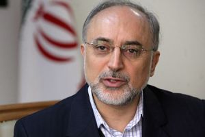 Ali Akbar Salehi, head of Iran's Atomic Energy Organization.